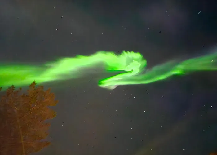 Innholdsrik Og Koselig I Lofoten 아파트 스볼베르